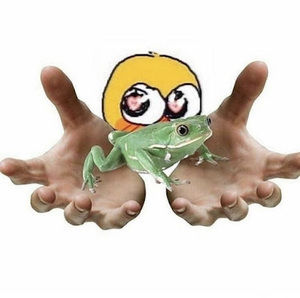 Meet your Posher, The one with the frogs